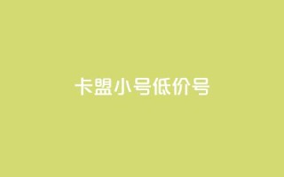 卡盟qq小号低价号 - 购买低价QQ小号,找卡盟助手~