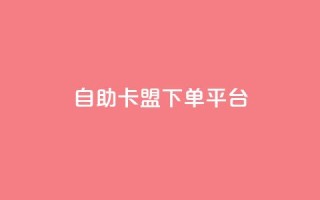 自助卡盟下单平台,qq业务自助 - DY极速完播下单 - qq云商城24小时在线下单