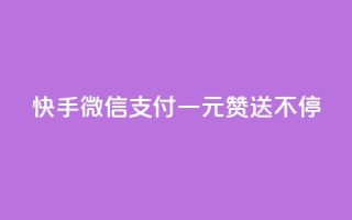快手微信支付：一元赞送不停