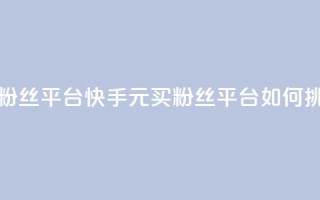 快手1块钱10000粉丝平台 - 快手1元买10000粉丝平台如何挑选!