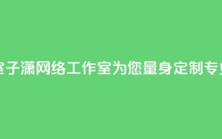 子潇网络工作室 - 子潇网络工作室：为您量身定制专业的SEO服务~