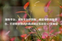 涨粉平台,涨粉平台秒到账,崛起中的涨粉平台,打造粉丝经济的新战场亿乐社区SUP货源站