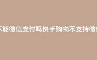快手买东西不能微信支付吗 - 快手购物不支持微信支付?!