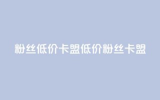 dy粉丝低价卡盟(低价dy粉丝卡盟)