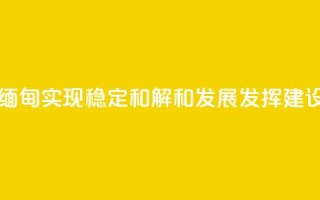 王毅:为缅甸实现稳定、和解和发展发挥建设性作用