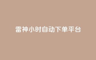 雷神24小时自动下单平台,qq空间访客量增加器 - 卡盟刷网课低价 - qq业务卡盟网站最低价