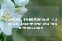 小红书播放量,小红书播放量有收益吗,小红书爆款攻略,如何通过优质内容快速提升播放量亿乐社区SUP货源站