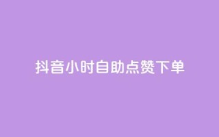抖音24小时自助点赞下单 - 抖音全天自助点赞服务,轻松提升视频热度!。