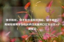 快手粉丝,快手粉丝涨粉丝网站,快手崛起,揭秘短视频平台如何抓住流量风口亿乐社区SUP货源站