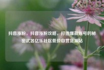 抖音涨粉,抖音涨粉攻略,打造爆款账号的秘密武器亿乐社区低价自营货源站
