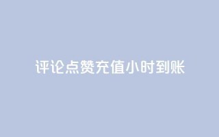 dy评论点赞充值24小时到账,网红商店24小时自助购买 - 抖音秒赞秒到账自助 - 快手1元100粉丝活粉的方法