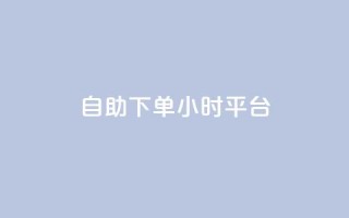 自助下单24小时平台 - 24小时自助下单平台,方便快捷服务。