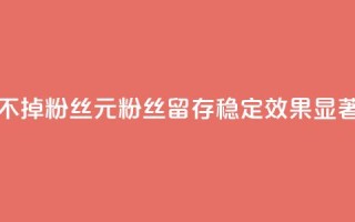 1元3000粉丝不掉粉丝 - 1元3000粉丝留存稳定,效果显著!