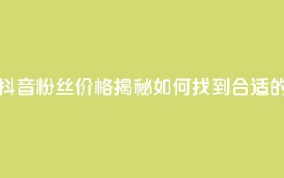 抖音粉丝的价格 - 抖音粉丝价格揭秘:如何找到合适的购买方式!