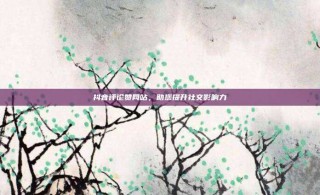抖音评论赞网站，助您提升社交影响力