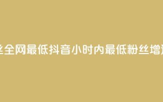 抖音24小时粉丝全网最低 - 抖音24小时内最低粉丝增速揭秘!
