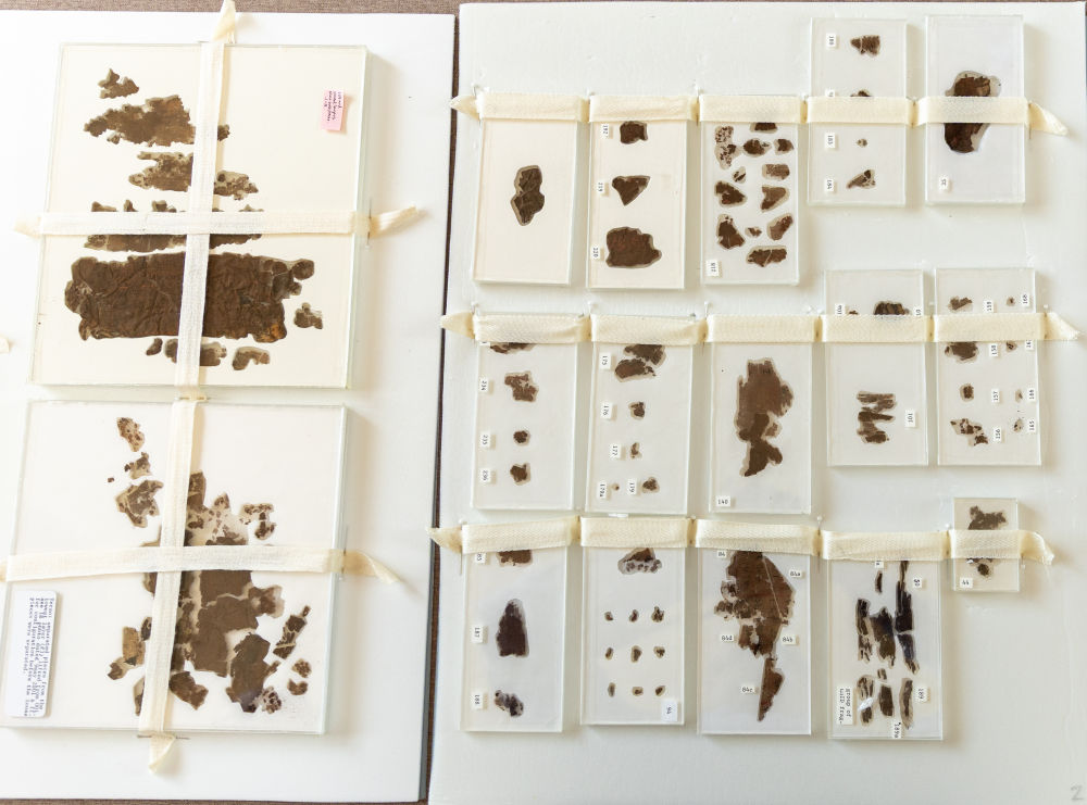 《五行令》《攻守占》	，2个月后国博见  第3张