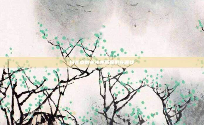 抖音点赞关注兼职联系在哪找  第1张