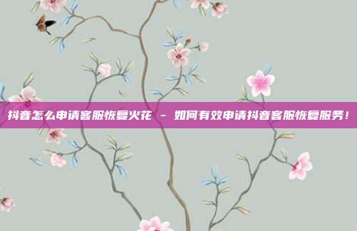 抖音怎么申请客服恢复火花 - 如何有效申请抖音客服恢复服务！  第1张
