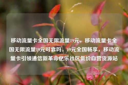 移动流量卡全国无限流量19元，移动流量卡全国无限流量19元可靠吗	，19元全国畅享，移动流量卡引领通信新革命亿乐社区低价自营货源站  第1张