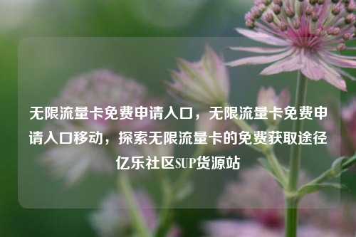 无限流量卡免费申请入口，无限流量卡免费申请入口移动，探索无限流量卡的免费获取途径亿乐社区SUP货源站  第1张