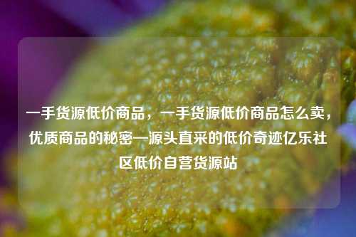 一手货源低价商品，一手货源低价商品怎么卖，优质商品的秘密—源头直采的低价奇迹亿乐社区低价自营货源站  第1张