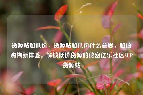 货源站超低价，货源站超低价什么意思，超值购物新体验，解锁低价货源的秘密亿乐社区SUP货源站  第1张