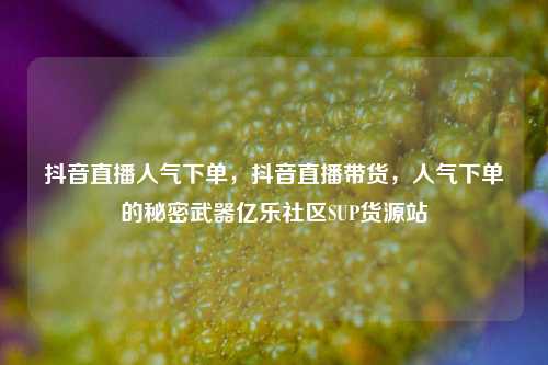 抖音直播人气下单，抖音直播带货，人气下单的秘密武器亿乐社区SUP货源站  第1张