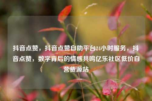 抖音点赞，抖音点赞自助平台24小时服务，抖音点赞	，数字背后的情感共鸣亿乐社区低价自营货源站  第1张