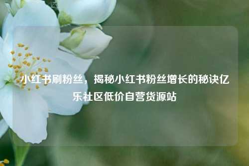 小红书刷粉丝，揭秘小红书粉丝增长的秘诀亿乐社区低价自营货源站  第1张