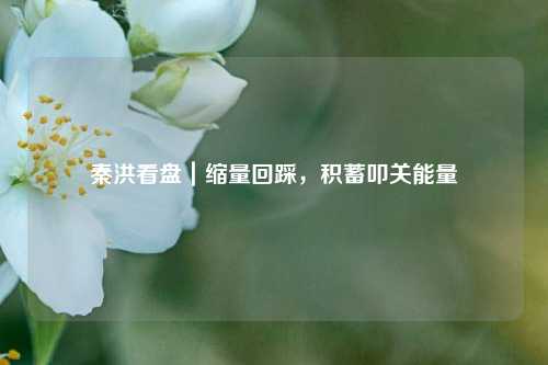 秦洪看盘｜缩量回踩，积蓄叩关能量  第1张