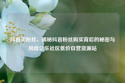 抖音买粉丝	，揭秘抖音粉丝购买背后的秘密与风险亿乐社区低价自营货源站  第1张