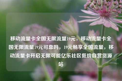移动流量卡全国无限流量19元	，移动流量卡全国无限流量19元可靠吗，19元畅享全国流量，移动流量卡开启无限可能亿乐社区低价自营货源站  第1张