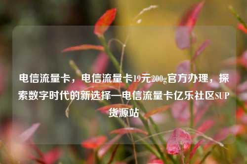 电信流量卡，电信流量卡19元200g官方办理	，探索数字时代的新选择—电信流量卡亿乐社区SUP货源站  第1张