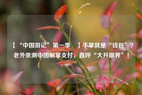 【“中国游记”第一季㉗】手掌就是“钱包	”？老外亲测中国刷掌支付，直呼“大开眼界”！  第1张