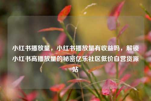 小红书播放量，小红书播放量有收益吗	，解锁小红书高播放量的秘密亿乐社区低价自营货源站  第1张