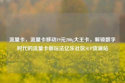 流量卡，流量卡移动19元200g大王卡，解锁数字时代的流量卡新玩法亿乐社区SUP货源站  第1张