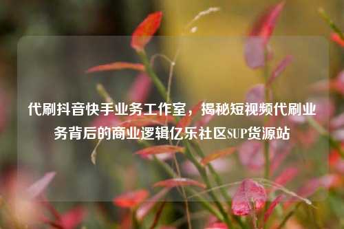 代刷抖音快手业务工作室，揭秘短视频代刷业务背后的商业逻辑亿乐社区SUP货源站  第1张