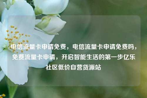 电信流量卡申请免费，电信流量卡申请免费吗	，免费流量卡申请，开启智能生活的第一步亿乐社区低价自营货源站  第1张