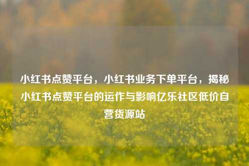 小红书点赞平台，小红书业务下单平台，揭秘小红书点赞平台的运作与影响亿乐社区低价自营货源站  第1张