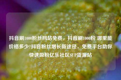 抖音刷1000粉丝网站免费，抖音刷1000粉 哪里能价格多少?抖音粉丝增长新途径	，免费平台助你快速吸粉亿乐社区SUP货源站  第1张