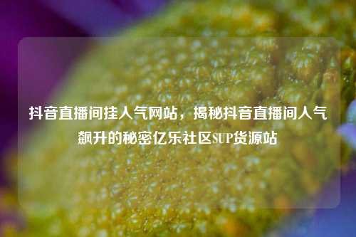 抖音直播间挂人气网站，揭秘抖音直播间人气飙升的秘密亿乐社区SUP货源站  第1张