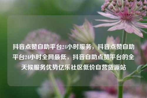 抖音点赞自助平台24小时服务，抖音点赞自助平台24小时全网最低，抖音自助点赞平台的全天候服务优势亿乐社区低价自营货源站  第1张