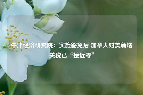 牛津经济研究院：实施豁免后 加拿大对美新增关税已“接近零”  第1张