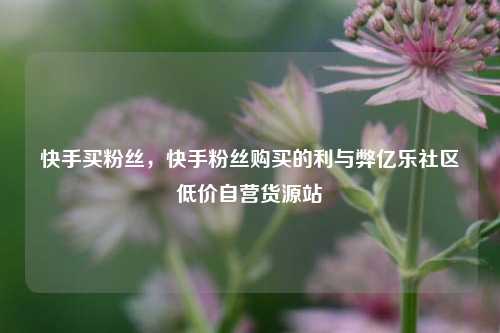 快手买粉丝，快手粉丝购买的利与弊亿乐社区低价自营货源站  第1张