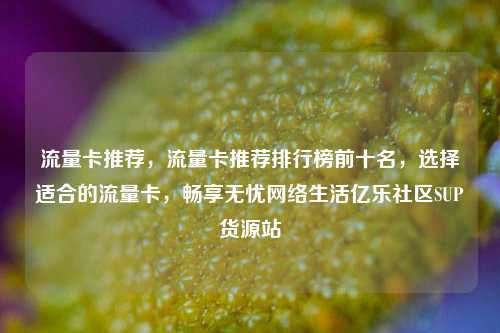 流量卡推荐	，流量卡推荐排行榜前十名，选择适合的流量卡，畅享无忧网络生活亿乐社区SUP货源站  第1张
