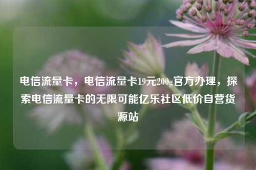 电信流量卡，电信流量卡19元200g官方办理	，探索电信流量卡的无限可能亿乐社区低价自营货源站  第1张
