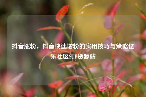 抖音涨粉，抖音快速增粉的实用技巧与策略亿乐社区SUP货源站  第1张