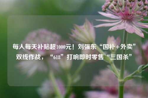 每人每天补贴超1000元！刘强东“国补+外卖”双线作战，“618”打响即时零售“三国杀	”  第1张
