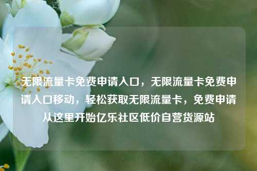 无限流量卡免费申请入口	，无限流量卡免费申请入口移动，轻松获取无限流量卡，免费申请从这里开始亿乐社区低价自营货源站  第1张